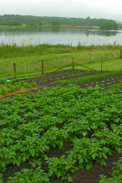 Westensee and the kitchen garden