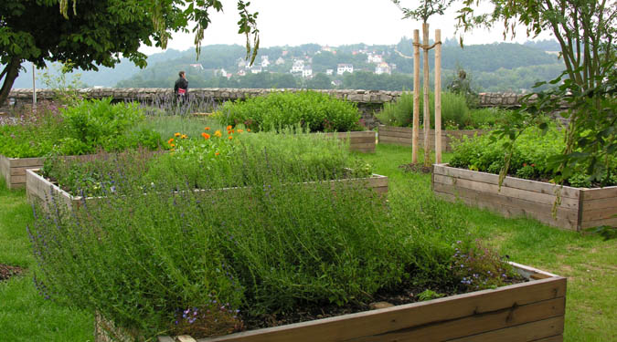 A Kitchen Garden with a View