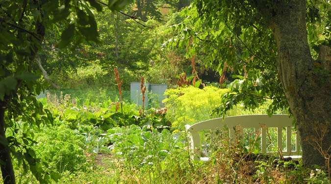 Vigorous garden on a rocky island