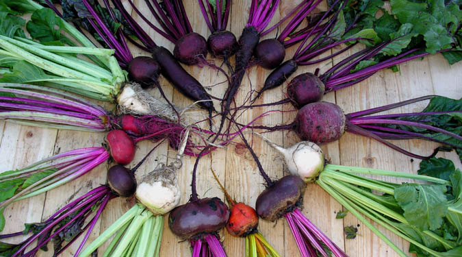 Beetroot Diversity