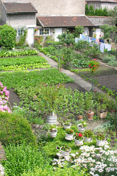 French backyard kitchen garden